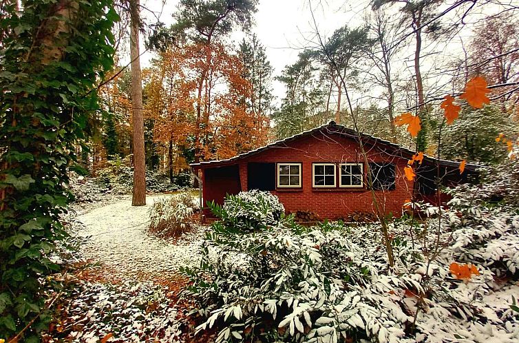 Sfeervol 4-persoons vakantiehuis met houtkachel in de natuur