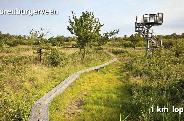 Sfeervol 4-persoons vakantiehuis met houtkachel in de natuur