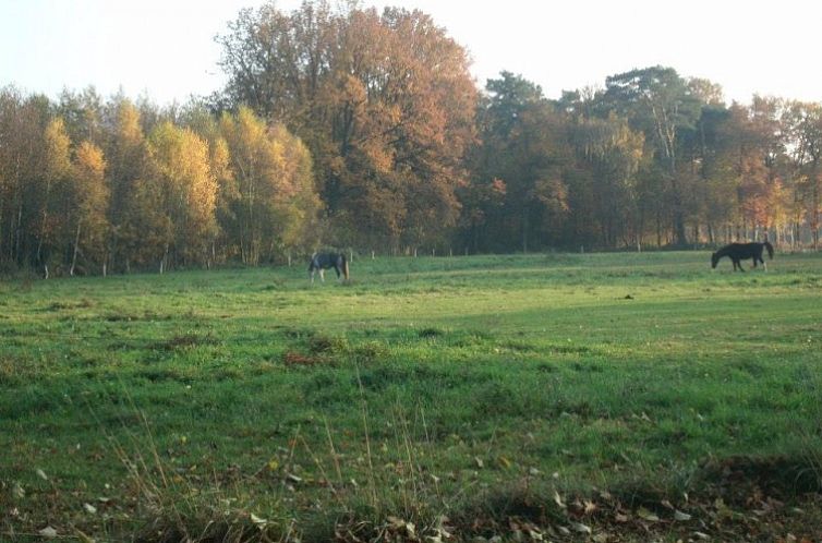 Kom in de Bedstee Winterswijk