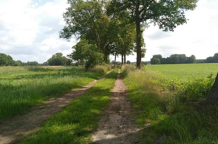 Vakantiehuisje in Barchem