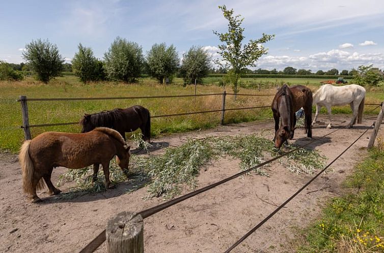 Vakantiehuisje in Barchem