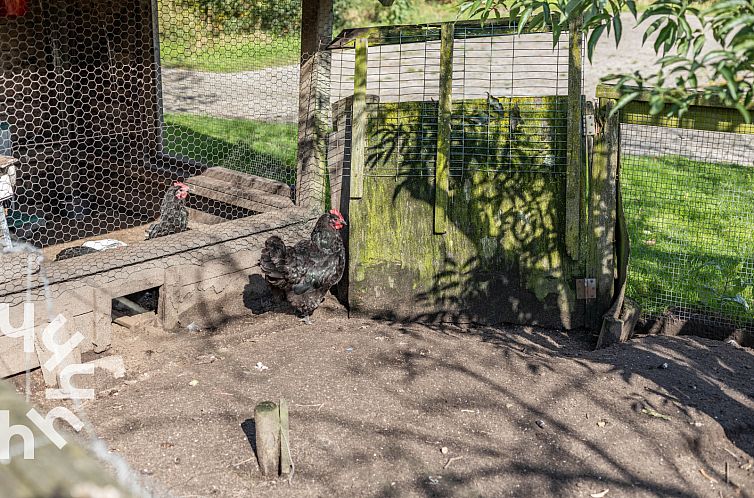 Heerlijke 15-persoons vakantieboerderij met gratis WiFi in