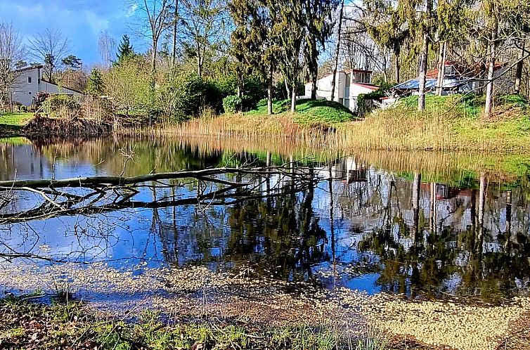 Zeer luxe 6 persoons vakantiehuis met sauna nabij Halle