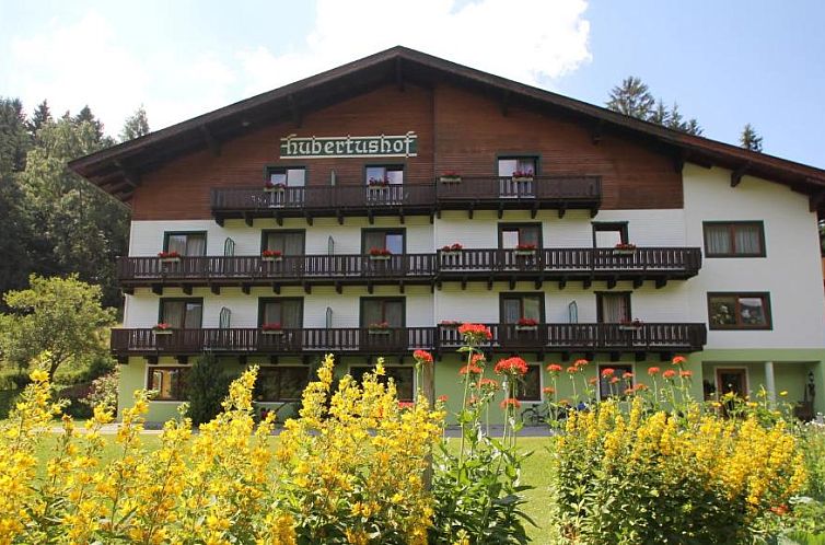 Pension Hubertushof beim Römerbad