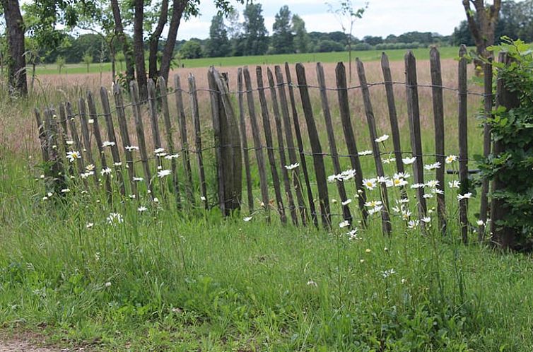 Huisje in Westendorp