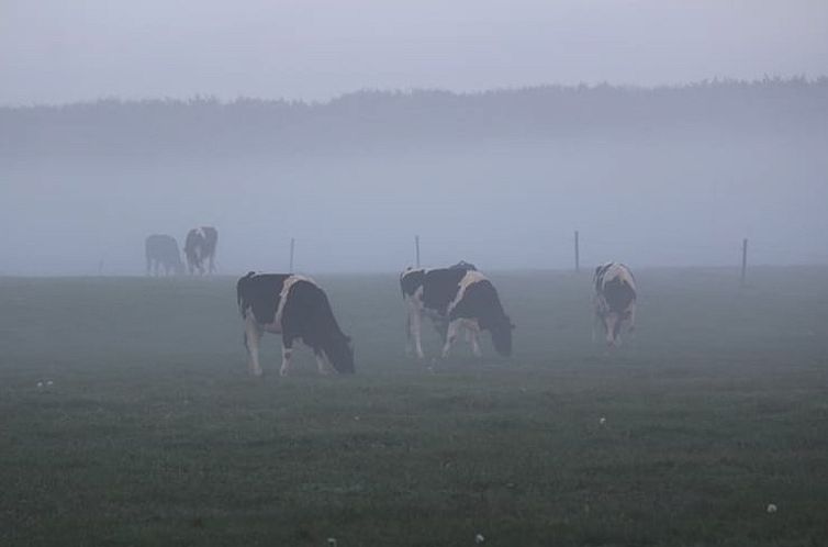 Huisje in Westendorp