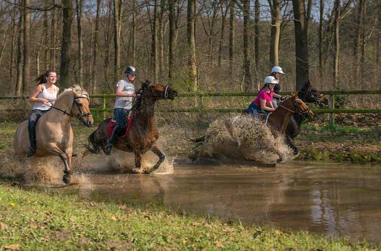 Comfortabel 4 persoons vakantie appartement in de Gelderse