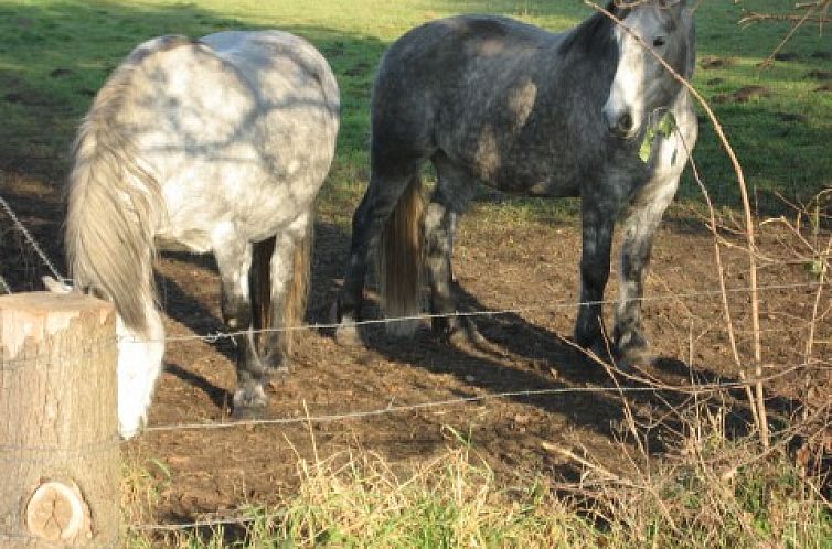 BIJZONDERE EN UNIEKE GROEPSACCOMMODATIE IN DE ACHT