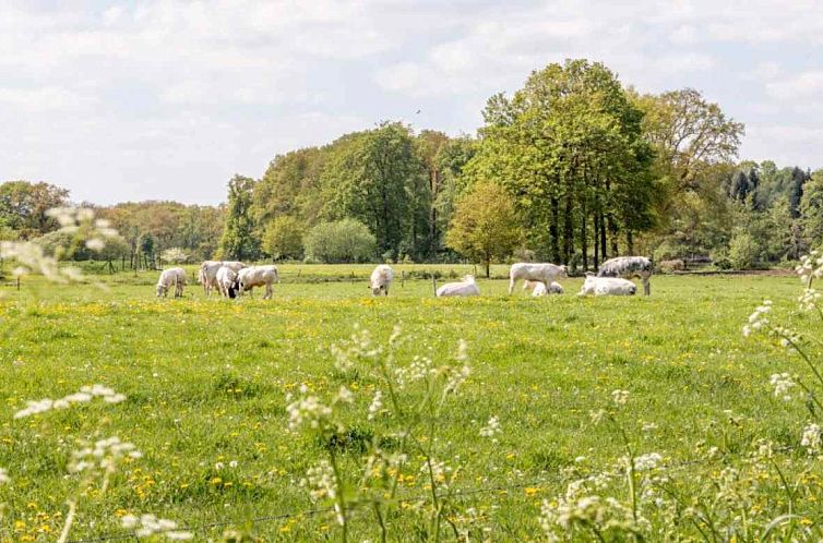 Prachtig gelegen 19 persoons groepsaccommodatie aan de grens