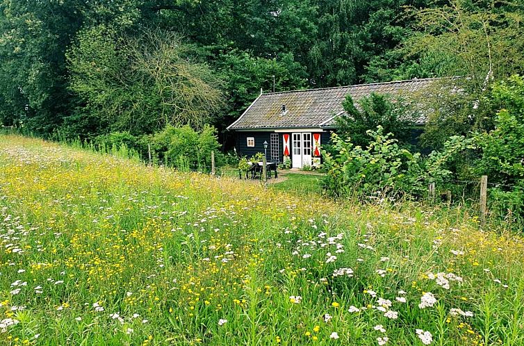 Sfeervol 4 persoons vakantiehuis, gelijkvloers met ligbad en