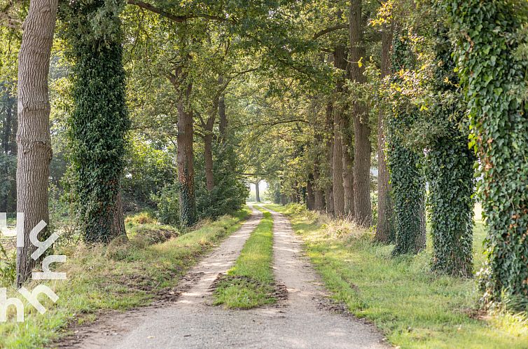 Authentiek 4 persoons vakantiehuis in Aalten in de