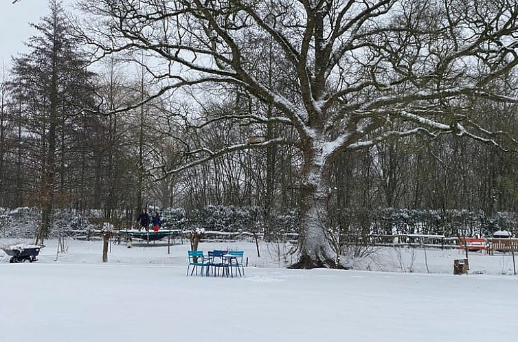 Huisje in Laren (GLD)