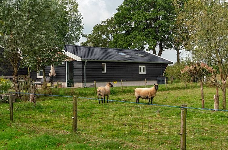 Vakantiehuisje in Laren