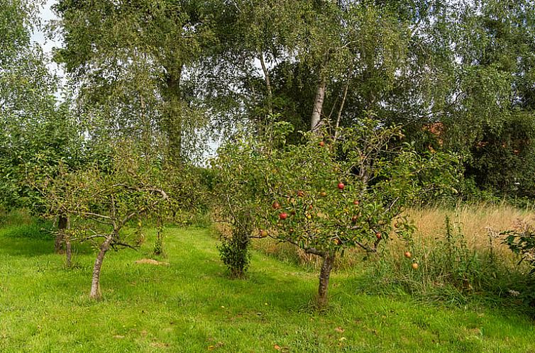 Vakantiehuisje in Laren