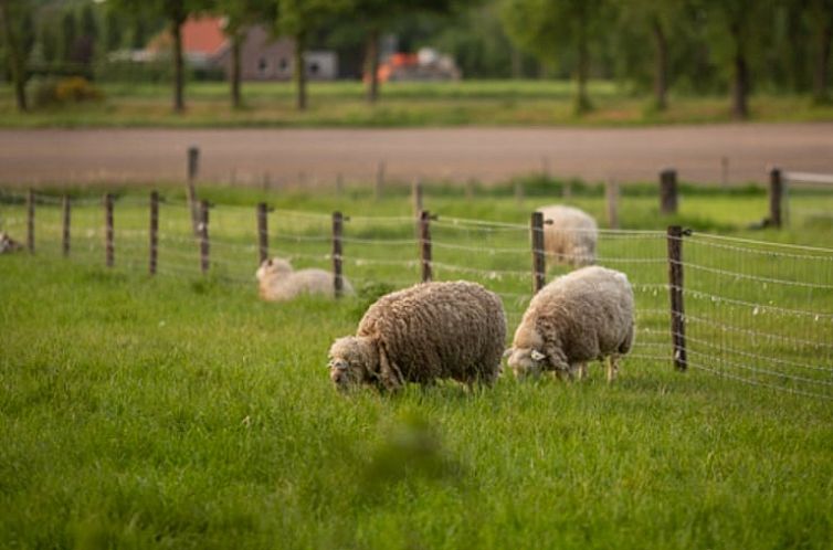 Vakantiehuis in Groenlo