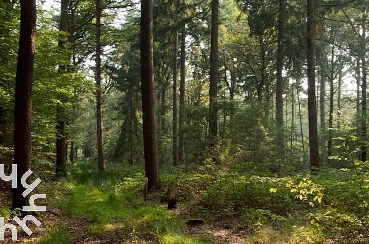 Prachtig 9 persoons vakantiehuis in de Achterhoek nabij