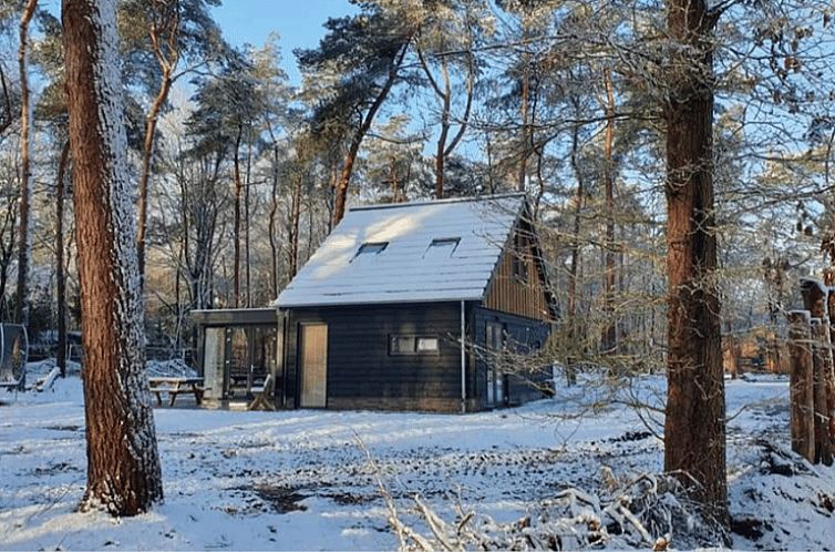 Vakantiehuisje in Lochem