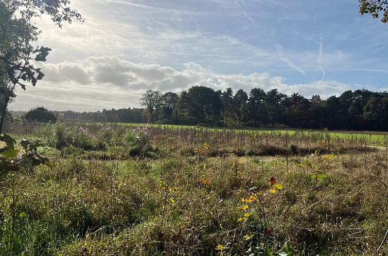 Huisje in Lochem