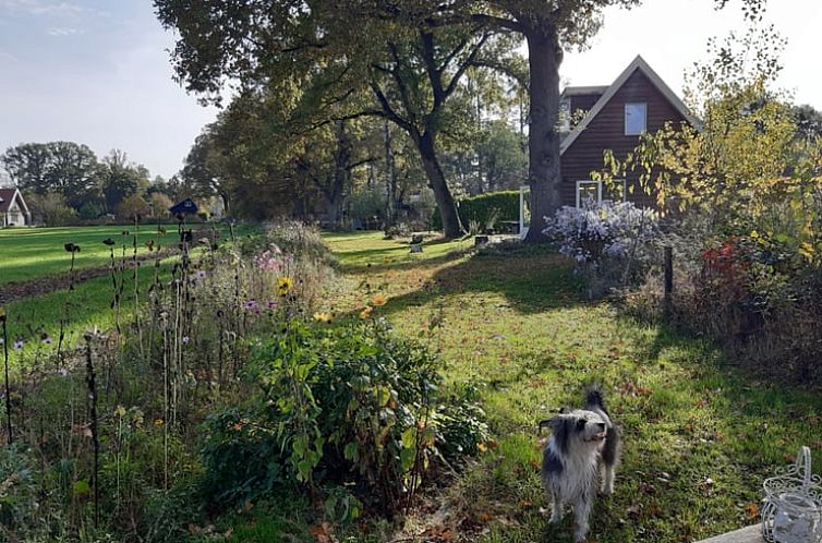 Vakantiehuisje in Hengelo gld