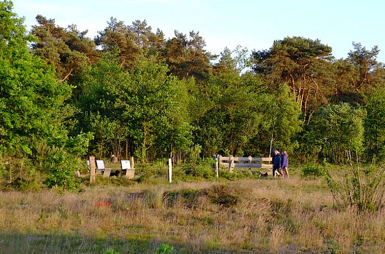 Vakantiehuis in Harfsen