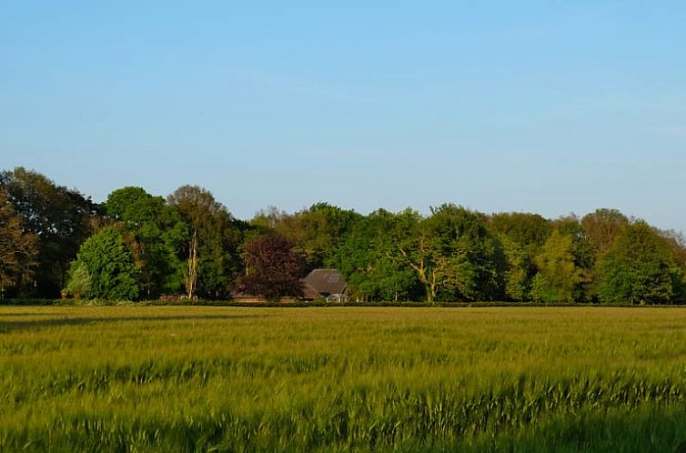 Vakantiehuis in Harfsen