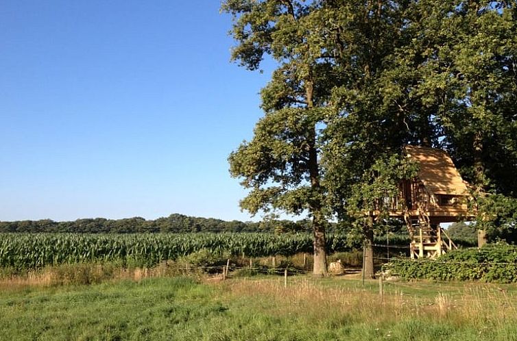 Huisje in Haarlo