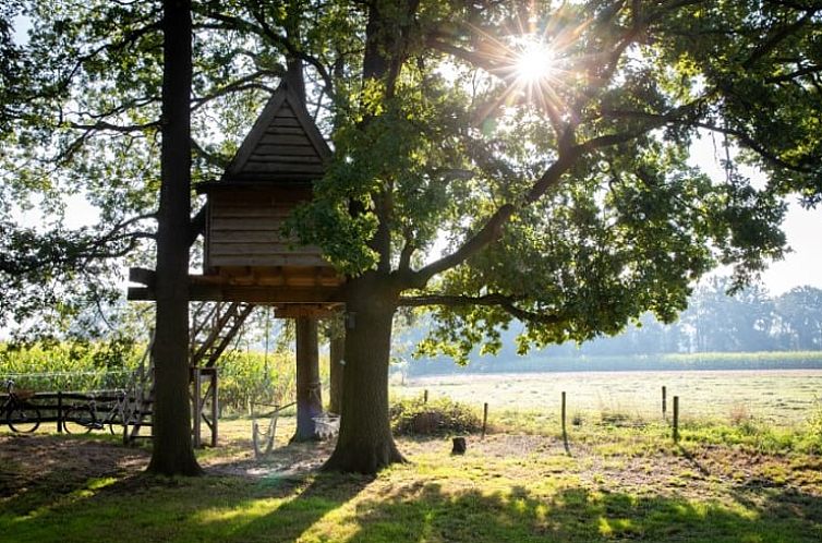 Huisje in Haarlo