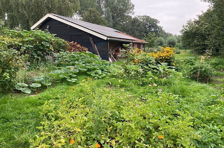 Vakantiehuisje in Geesteren