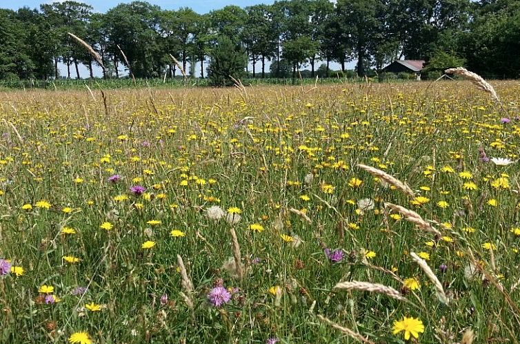 vakantieboerderijtje-achterhoek-twente