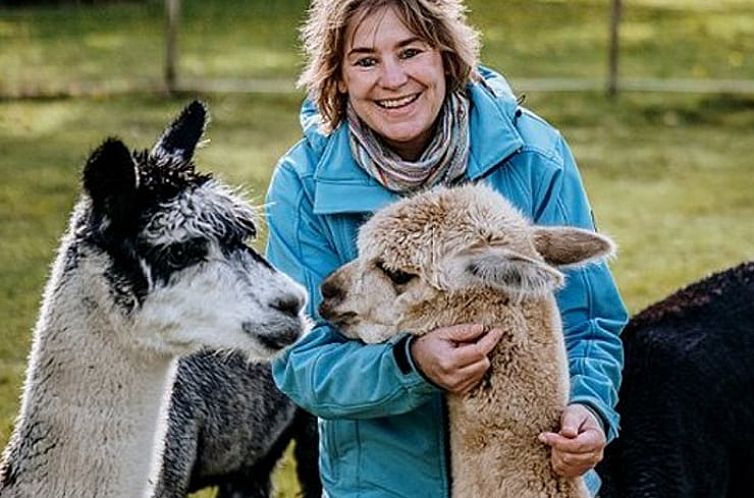 Huisje in Geesteren Gelderland