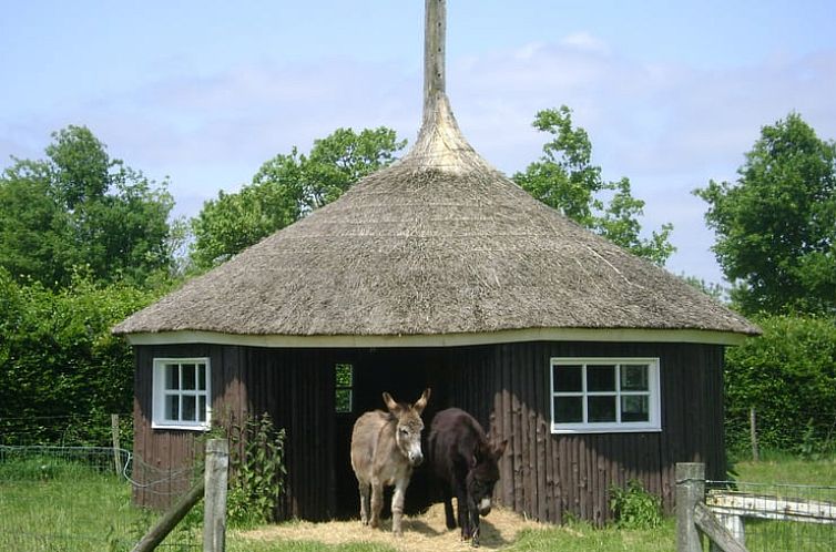 Vakantiehuis in Vorden