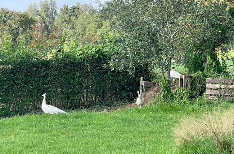 Vakantiehuisje in Doetinchem