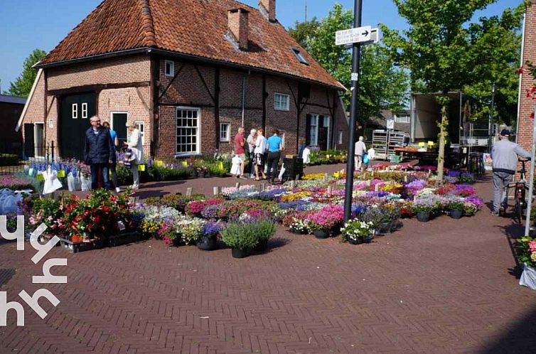 Prachtig 4 persoons vakantiehuis in het centrum van