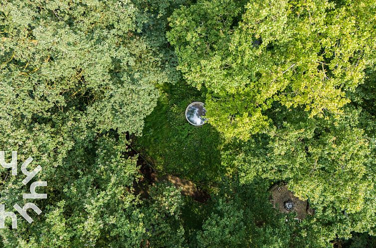 Uniek vakantiehuis voor 5 personen in het bos, vlakbij het