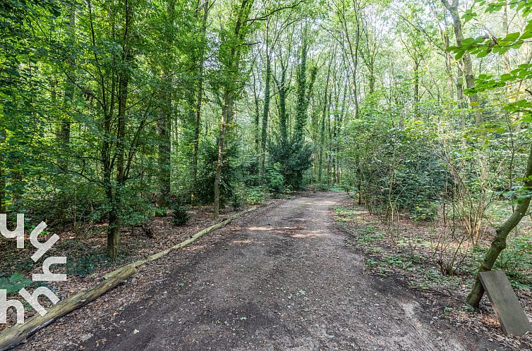 Uniek vakantiehuis voor 5 personen in het bos, vlakbij het