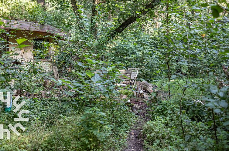 Uniek vakantiehuis voor 5 personen in het bos, vlakbij het