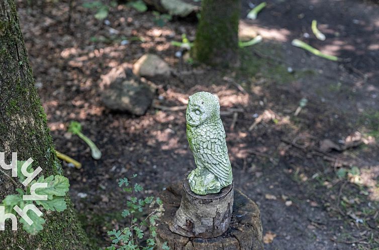 Uniek vakantiehuis voor 5 personen in het bos, vlakbij het