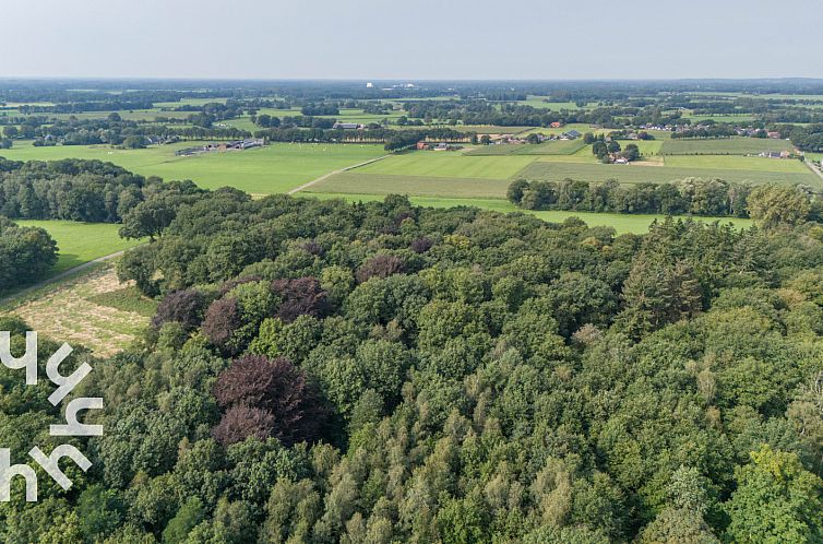 Uniek vakantiehuis voor 5 personen in het bos, vlakbij het