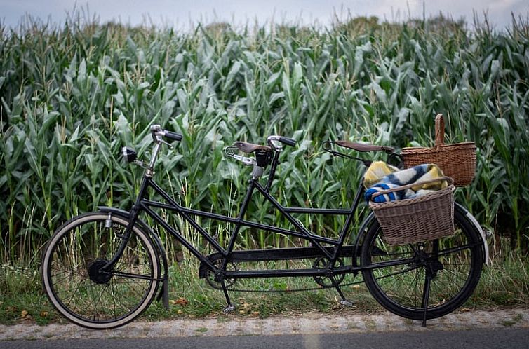 Vakantiehuisje in Megchelen