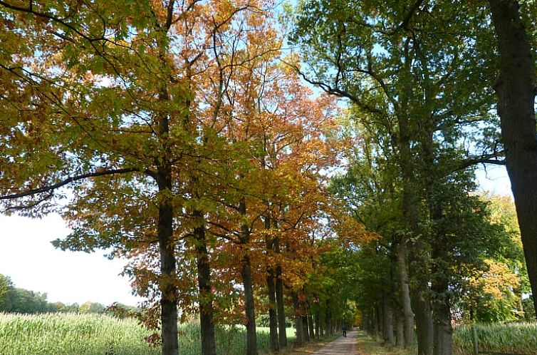 Vakantiehuisje in Winterswijk Woold