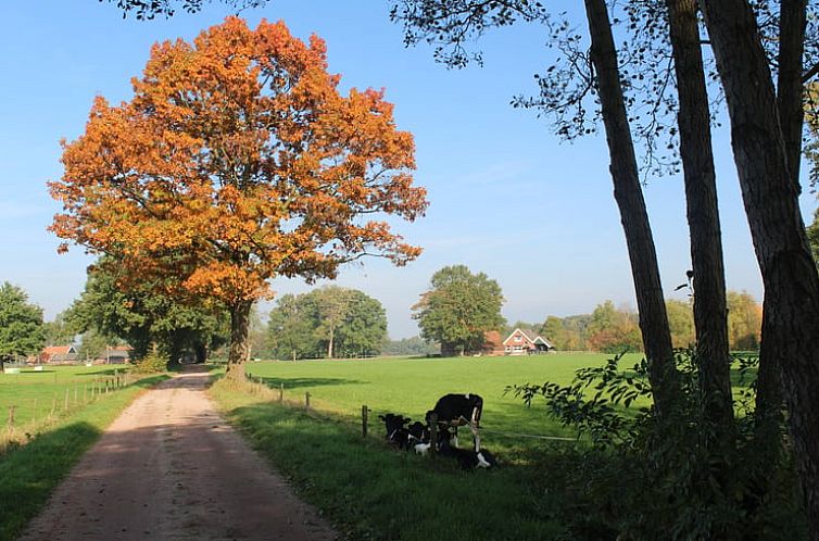 Vakantiehuisje in Winterswijk Woold