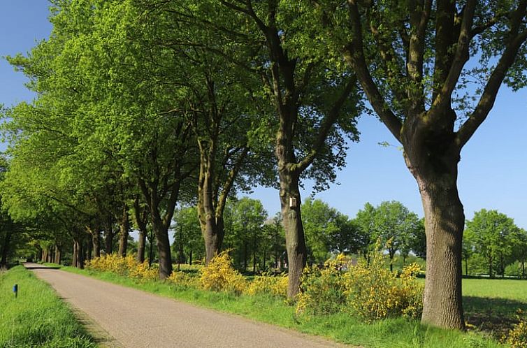 Vakantiehuisje in Winterswijk Woold