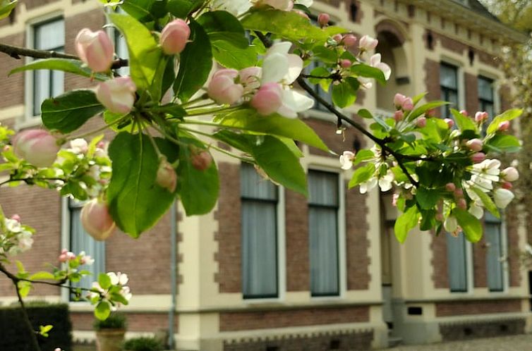 Vakantiehuisje in Winterswijk Woold