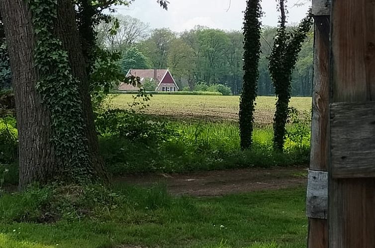 Vakantiehuisje in Winterswijk Woold