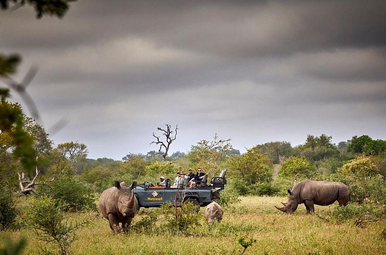 Motswari Private Game Reserve