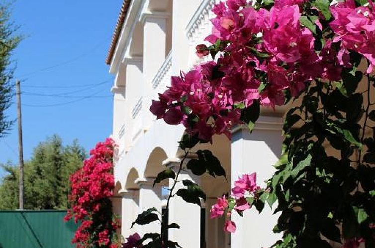 Apartamentos Bolonia Paraiso