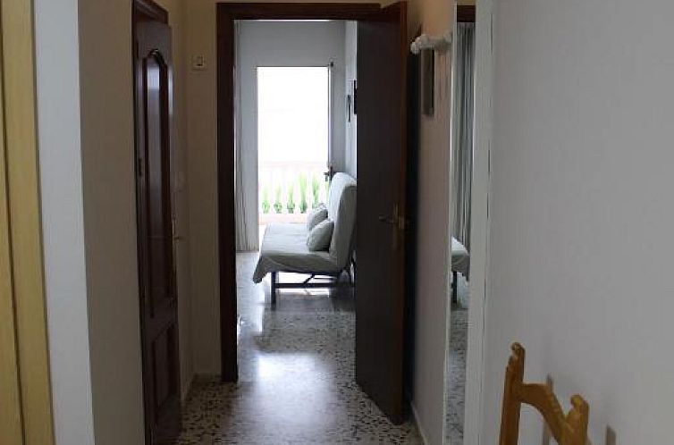 Apartamentos Bolonia Paraiso