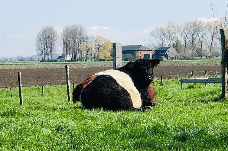 Slapen bij de Zeeuwse Lala