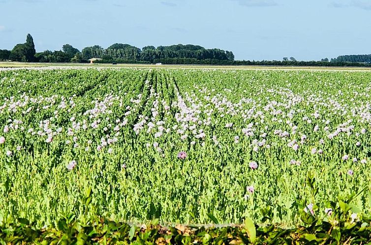 Slapen bij de Zeeuwse Lala