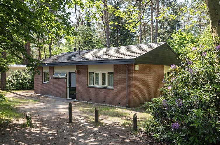 Heideheuvel | 8-persoons bungalow | 8C